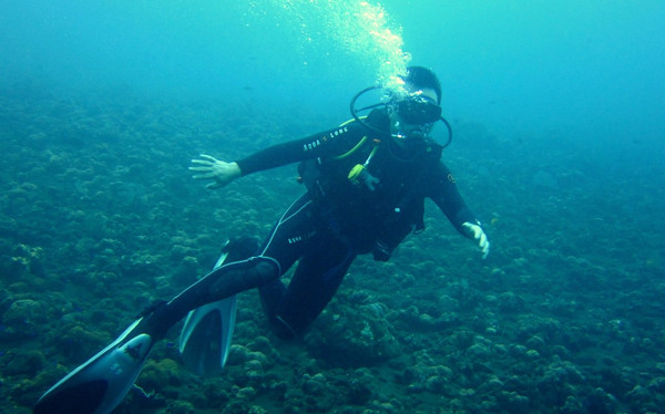 巴厘岛潜水之旅,巴厘岛潜水风景图