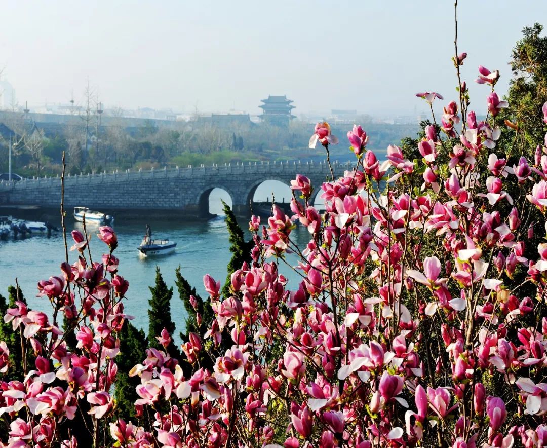 蓬莱五一旅游攻略,蓬莱阁旅游攻略一日游推荐