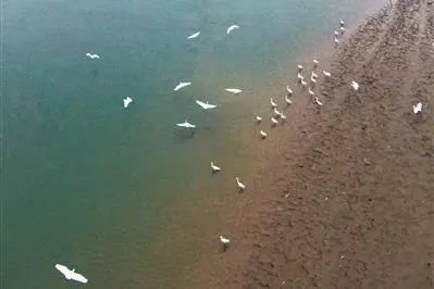 佛山亲子游好去处免门票花海,佛山儿童公园游玩攻略