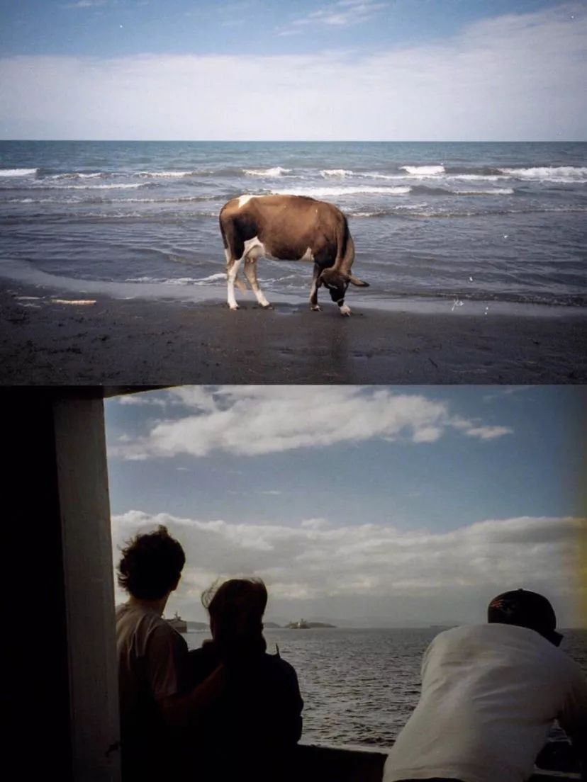 入坑手动胶片机的注意事项,比较好的胶片机推荐