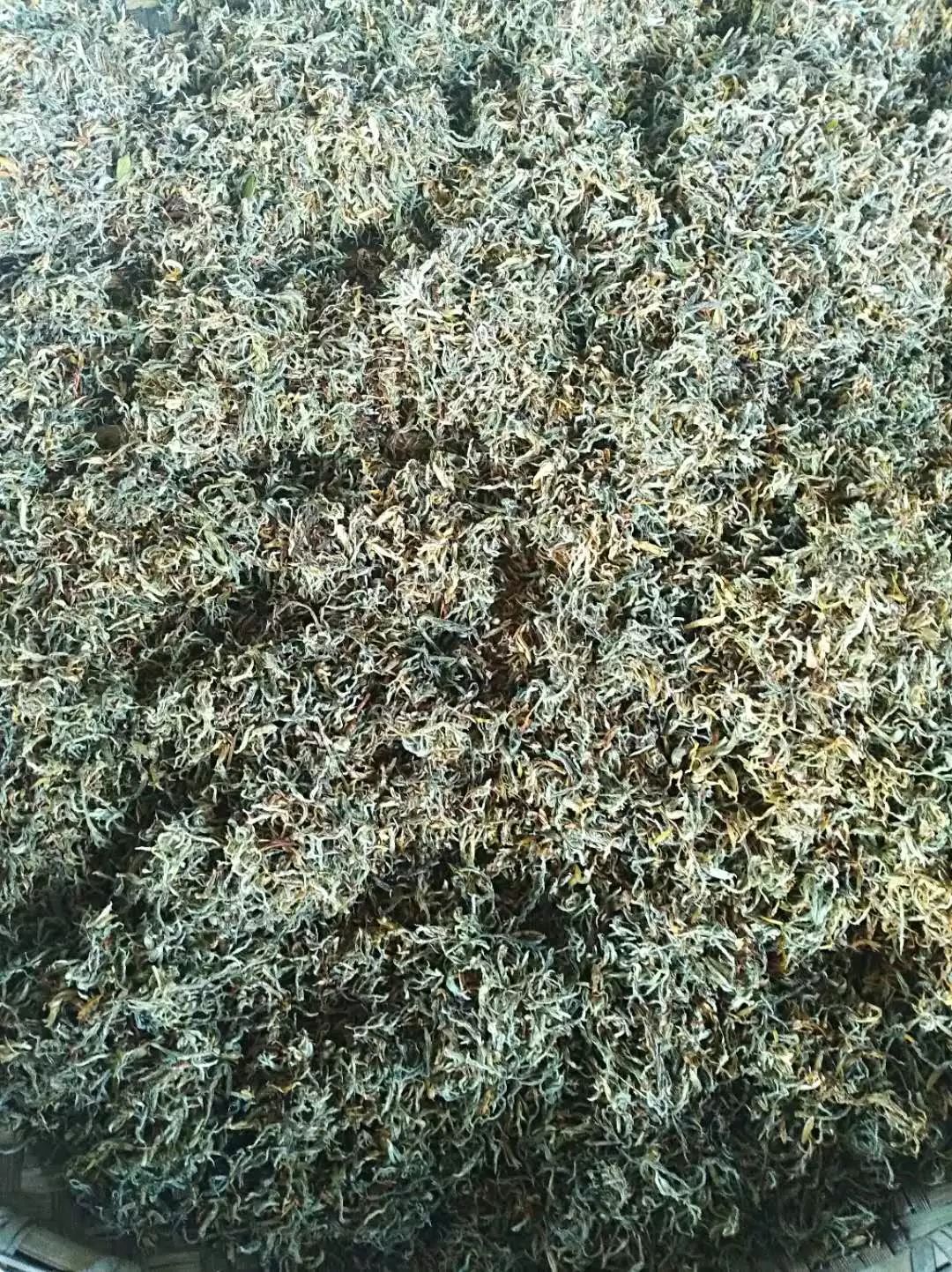 拒绝人从众模式,拒绝人从众的意思