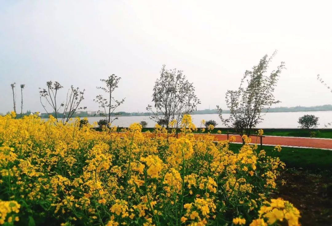 无锡最值得打卡的网红街,无锡梁溪区网红免费打卡地