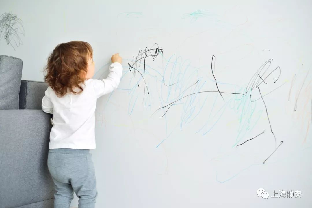 家里墙壁发霉怎么快速去除,墙壁发霉有很多小虫子怎么去除