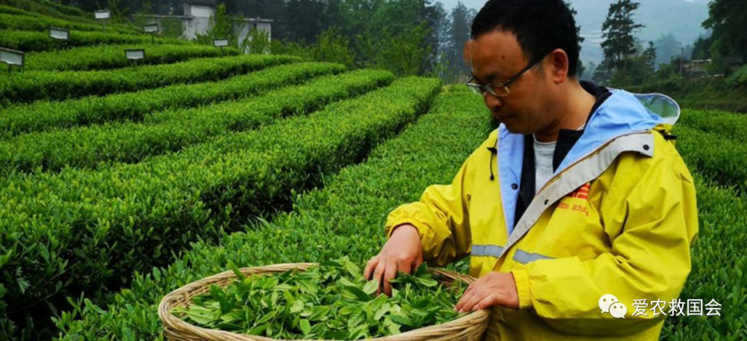 宀╄尪鍒惰尪鏁欏,鍒惰尪宸ヨ壓涓庤尪鏂囧寲