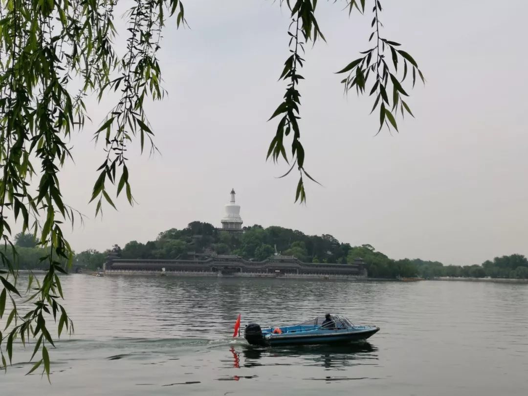 新西兰幼教移民,大龄新西兰留学移民