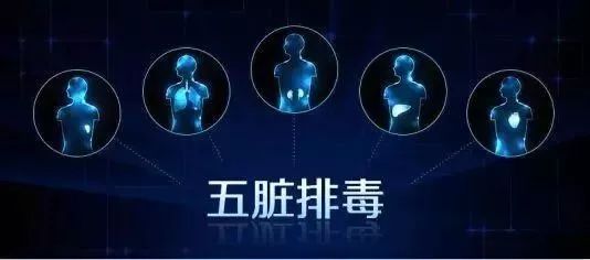 养生免费送鸡蛋骗局,养生好礼免费送