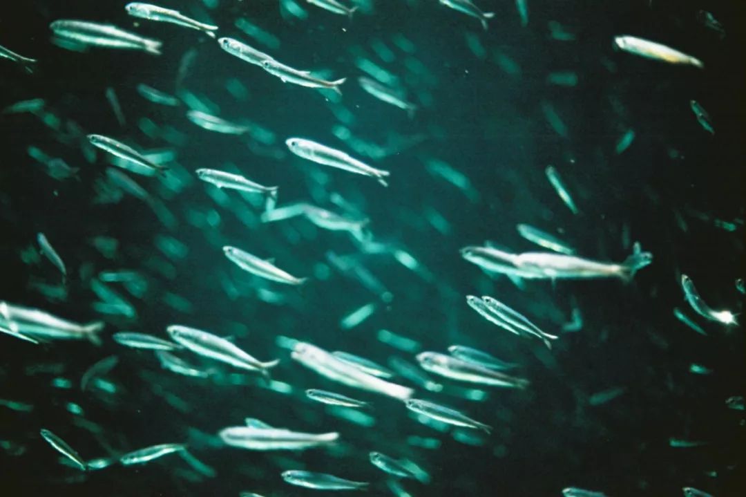 日本十大顶级宝库,日本隐藏的宝藏