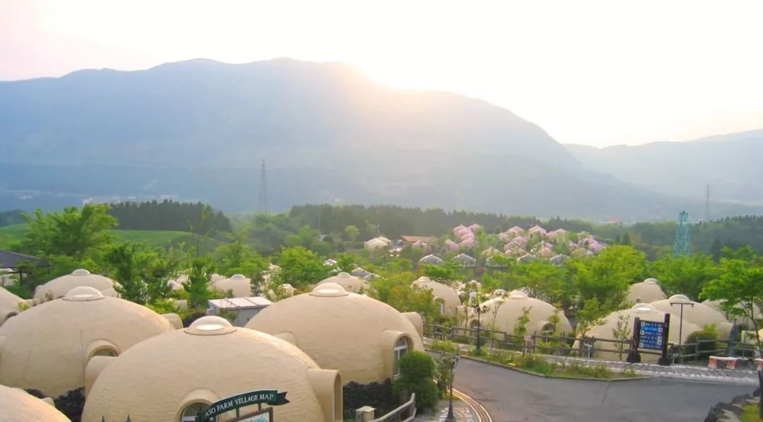 日本发现的大宝藏,日本挖出大宝藏