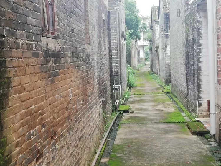 肇庆砚洲岛游记,肇庆自驾一日游砚洲岛