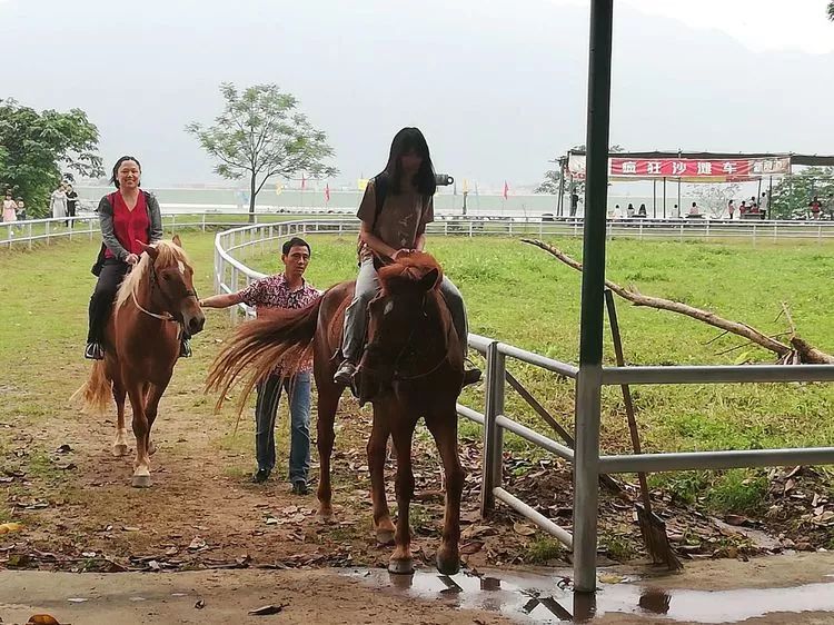 肇庆砚洲岛游记,肇庆自驾一日游砚洲岛