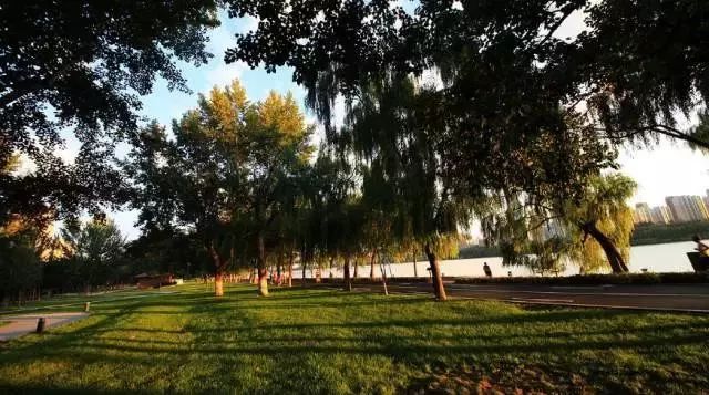 长白岛最新进展,长白岛区域