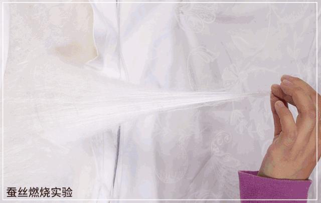 蚕丝被相关报道,桑蚕丝被曝光