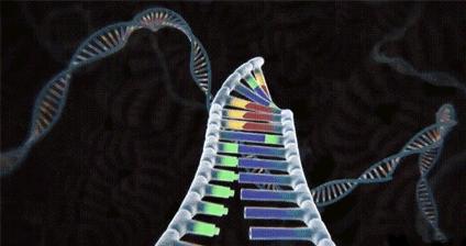 住院后突发中风,浙江医生突发中风