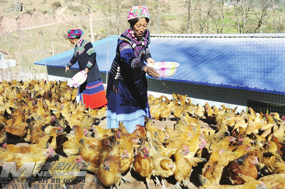 擂响决战决胜脱贫攻坚战鼓,重锤响鼓决胜脱贫攻坚