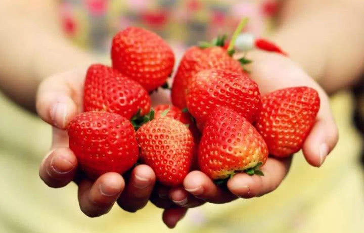 牙齿黄用漂白水能洗白吗,牙齿黄臭用什么牙膏