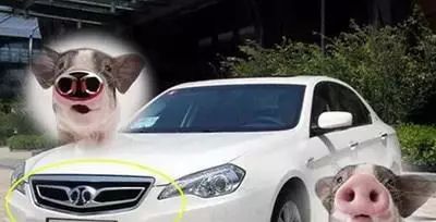 全球十大惊艳车标,全球十大炫酷车标