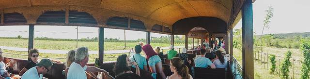 开着老爷车追着日落,古巴旅行全记