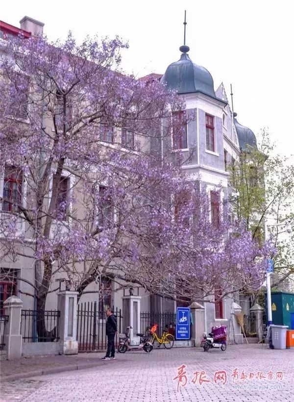 闈掑矝缁濈編鐎戝竷,闈掑矝绱壊鐎戝竷