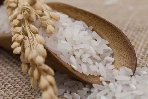 怎样才能卖到好米,好米怎么蒸粒粒分明