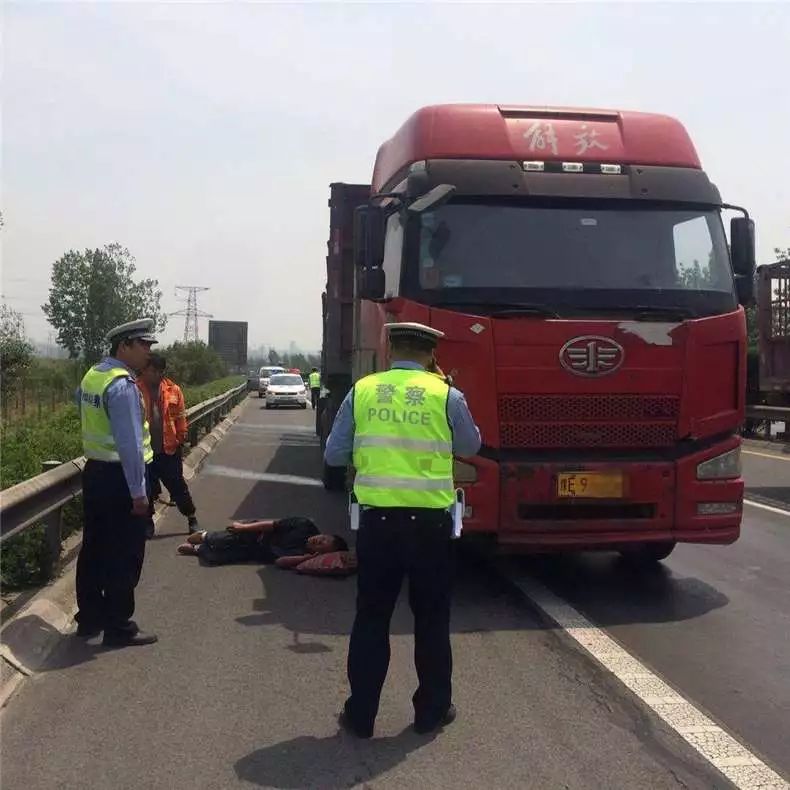 被马蜂蜇货车司机陷入昏迷！幸好，遇到了他们……遇到马蜂要这样处理