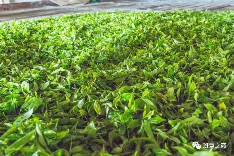 品一杯香茗赏千古美文,品一杯香茗感受诗和远方