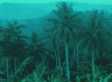 周星驰唯一崇拜的人,周星驰为什么那么多人喜欢