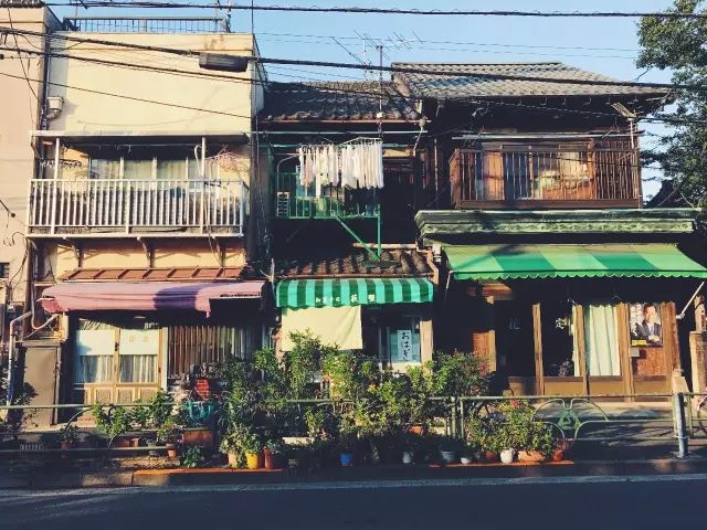 東京逛街地图：杂货、古着、家居、买手店...你想找的我都整理好了！