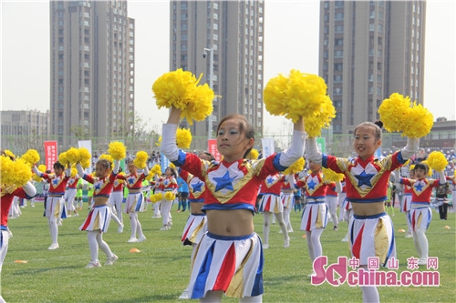 青岛白沙湾足球基地平面图,青岛市白沙湾足球基地免费开放