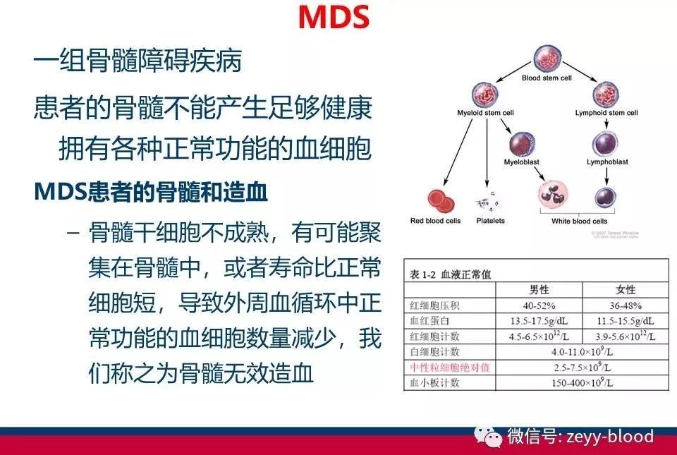 儿童mds骨髓移植生存期,儿童mds诊断专家共识