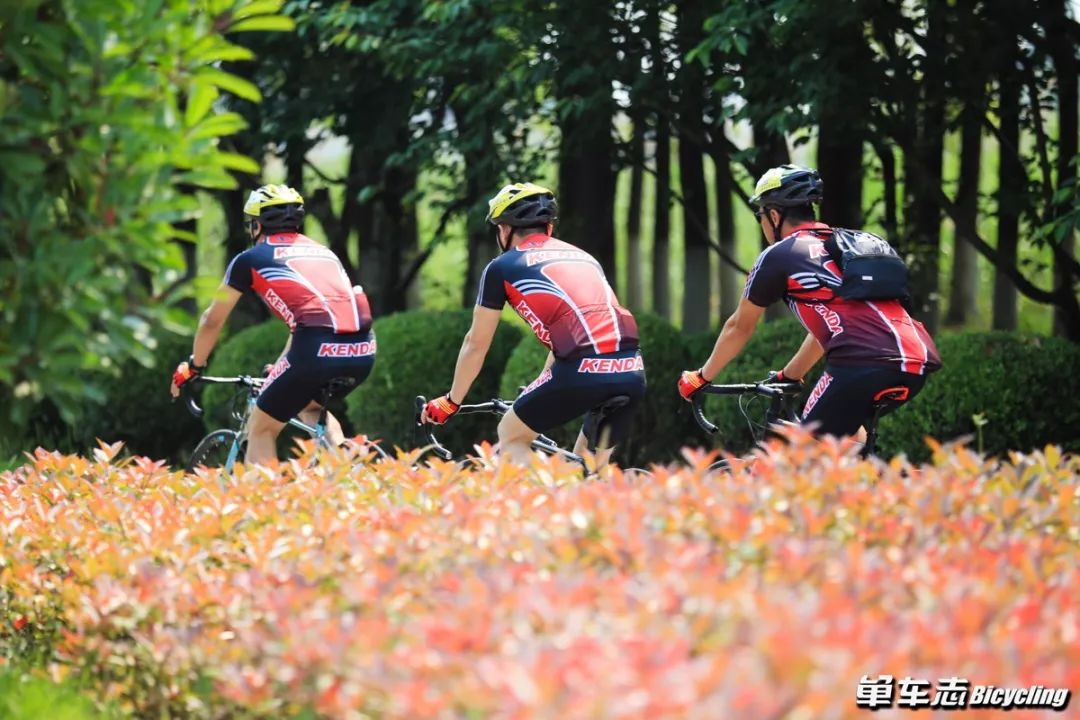 建大adv龟背轮胎,2019款建大轮胎测评