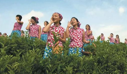 信阳值得去的景点推荐一下,信阳南湾湖能游吗