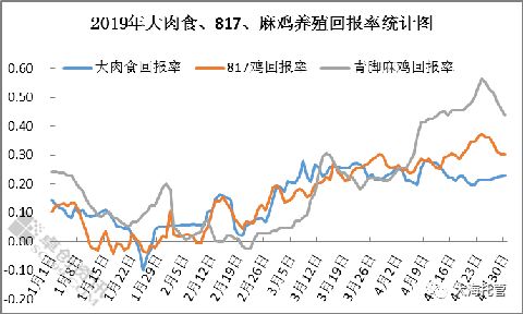 2024麻鸡养殖利润与成本,817大鸡利润空间