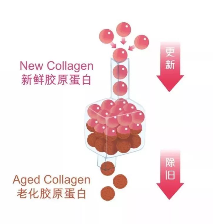 Top10|突袭妈妈们的化妆台，我居然被种草了！