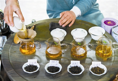 茶是一片神奇树叶,东方树叶和我们平常泡的茶