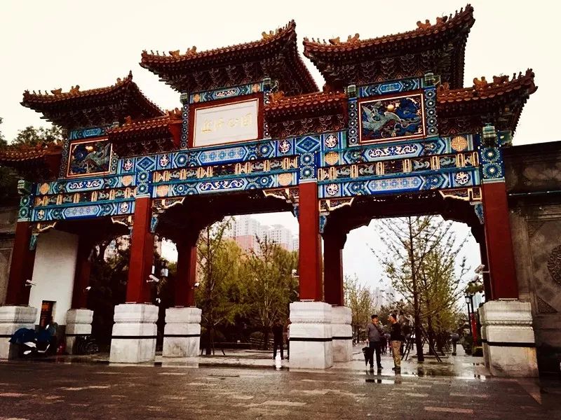 太原银杏林网红打卡地,太原网红打卡地景点