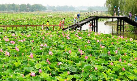 一起走吧粤语歌曲,一起走吧背起行囊