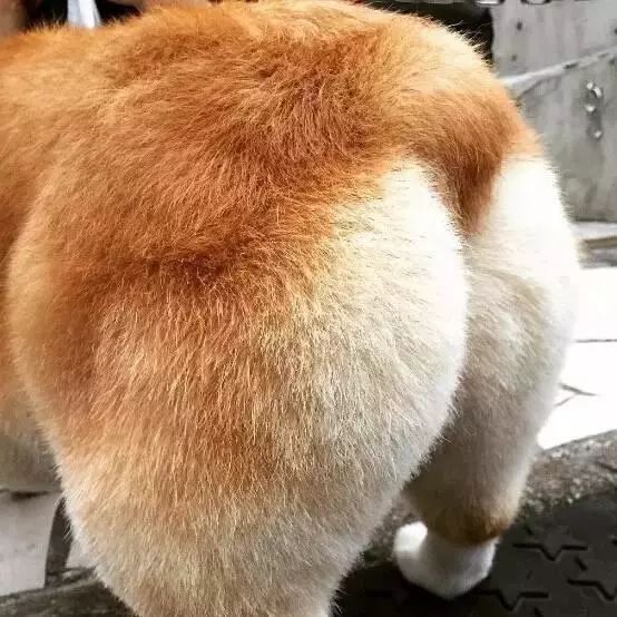 把我设置成不可见了是什么心态,为什么有人把朋友圈设成三天可见