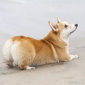 把我设置成不可见了是什么心态,为什么有人把朋友圈设成三天可见