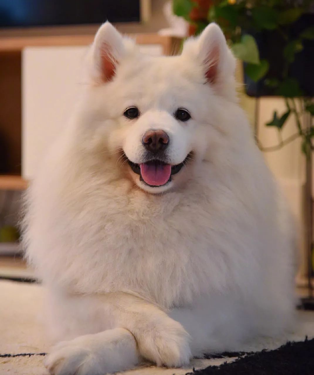 朋友圈设成三天可见代表着什么,有时候把朋友圈设成三天可见