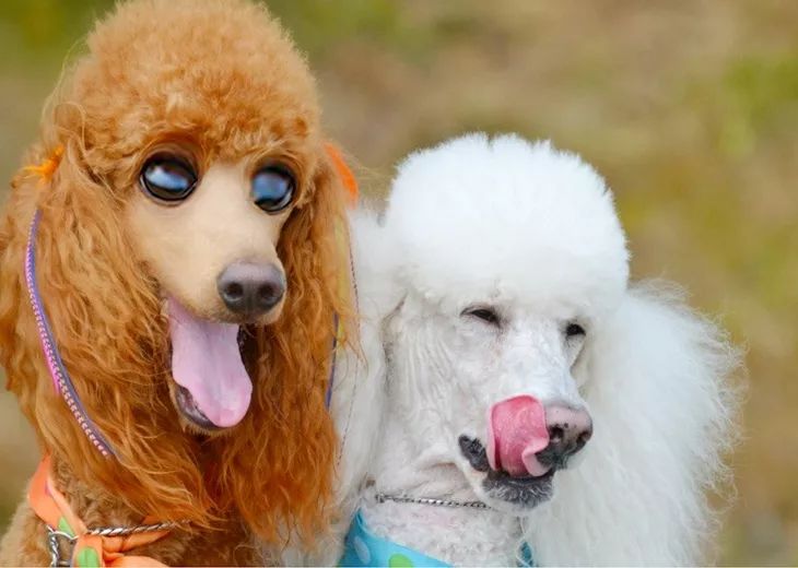 把我设置成不可见了是什么心态,为什么有人把朋友圈设成三天可见