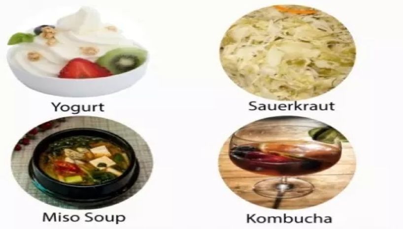 养乐多益生菌最好的前十名,养乐多的益生菌从哪里提炼出来的