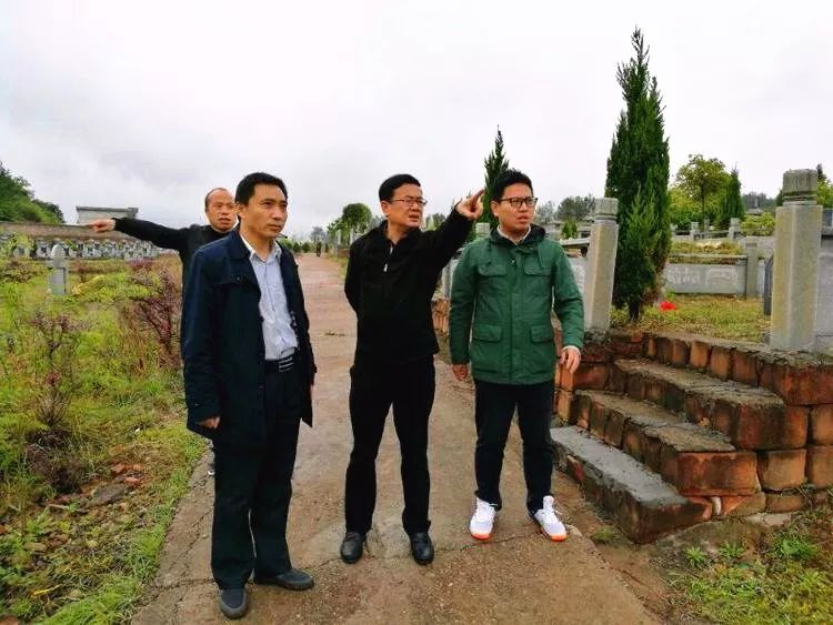 绿色殡葬初显成效,江西绿色殡葬改革文件