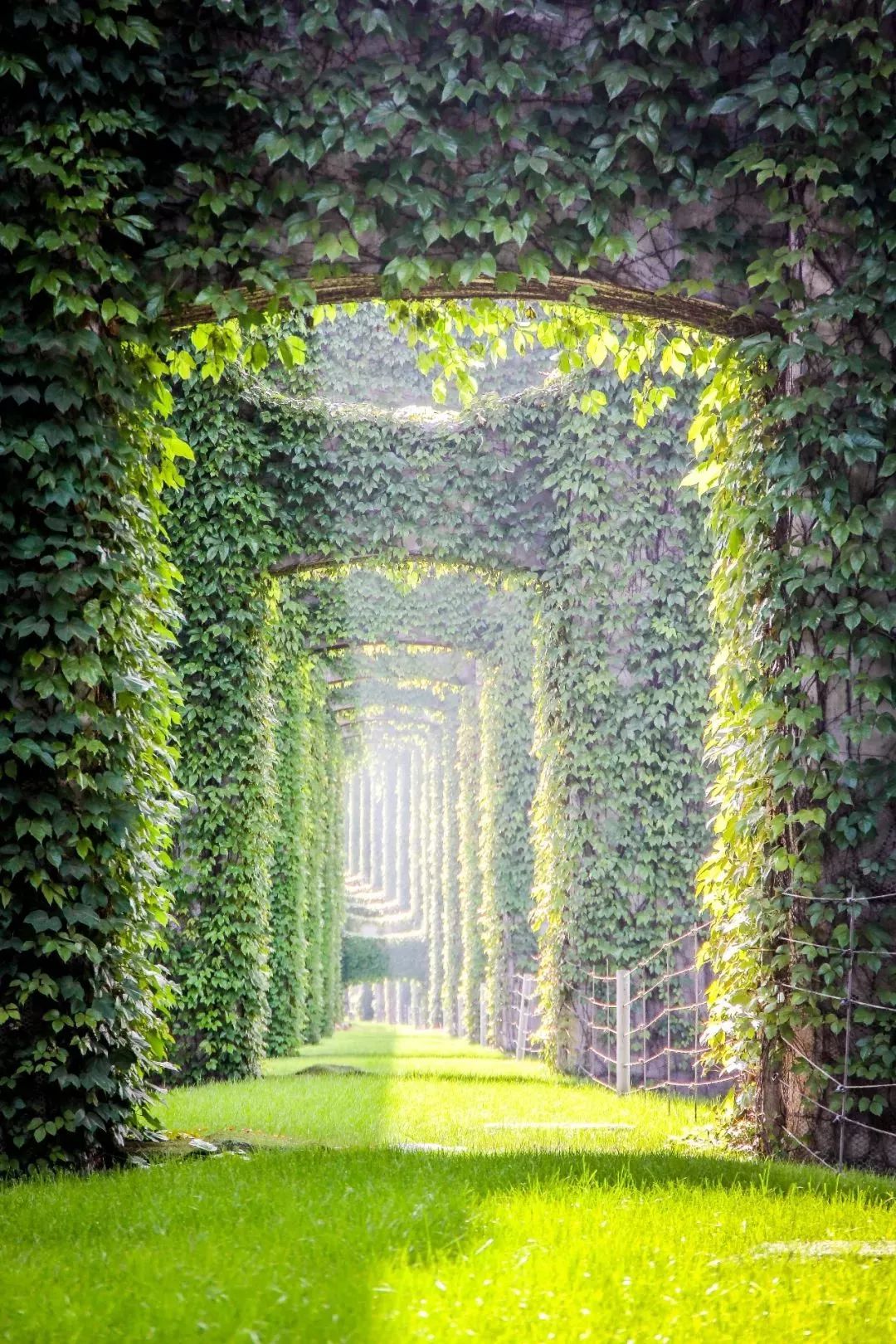 在成都市生活住哪个区比较好,在成都住一个月是租房还是住酒店