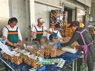 产地直发北京新发地进口水果市场,新发地进口水果批发市场