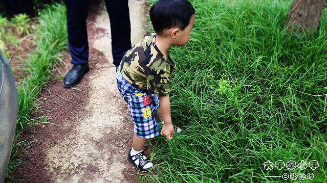 日照天气,日照房价