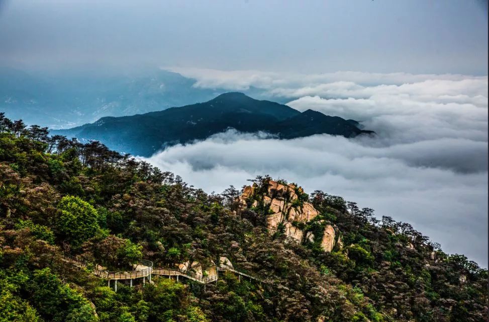 济南半价后的旅游景点,免费半价全国景点大优惠来啦