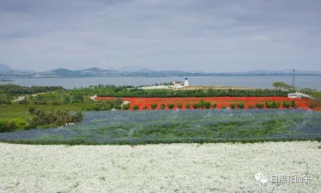 美炸了！初夏花仙子！有爱的人免费玩！把最美奉献给你！