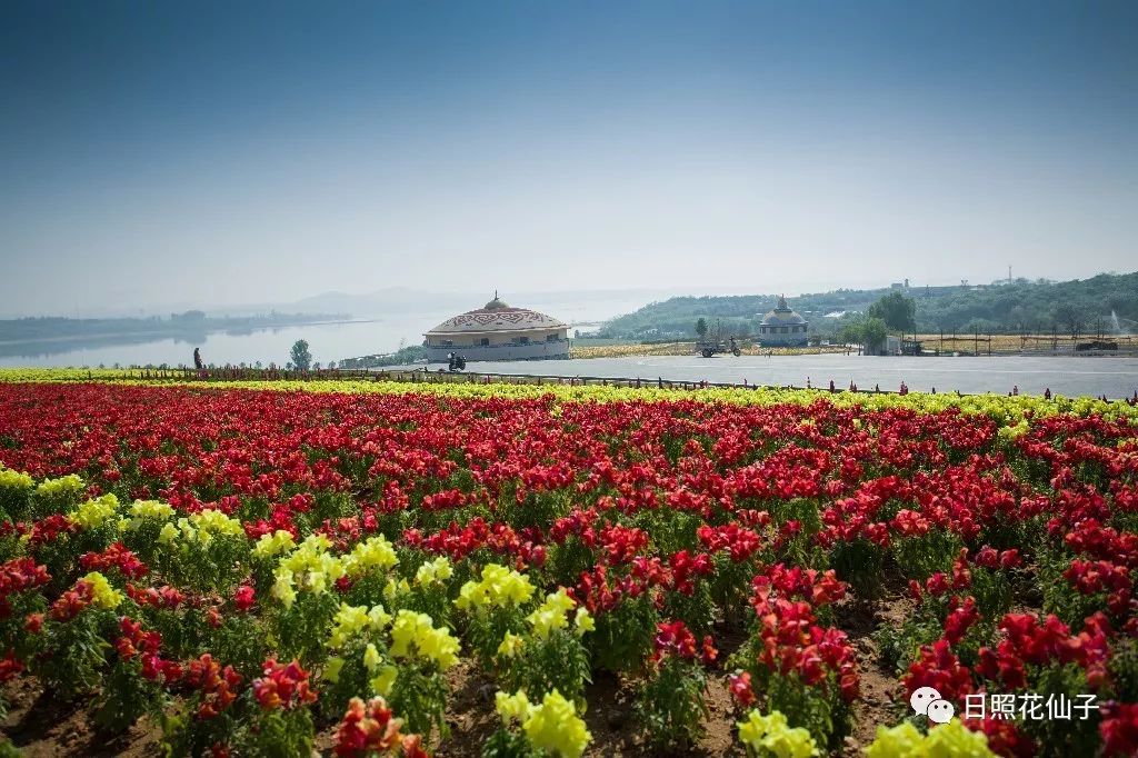 美炸了！初夏花仙子！有爱的人免费玩！把最美奉献给你！