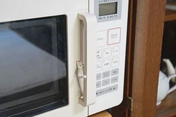 日本“手工鬼才”捏的小动物模型，比表情包还沙雕