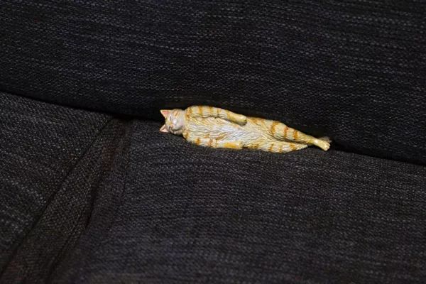 日本“手工鬼才”捏的小动物模型，比表情包还沙雕